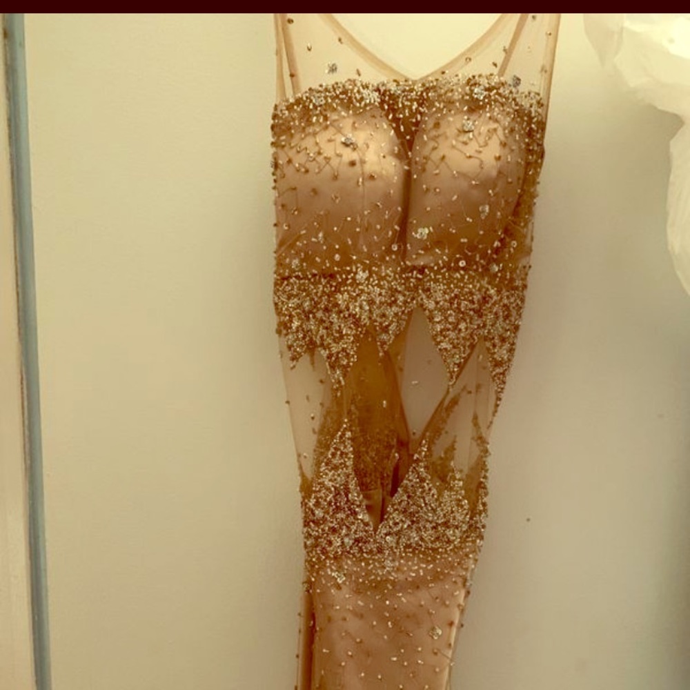 Classic Nude Sheer Sequin Dress